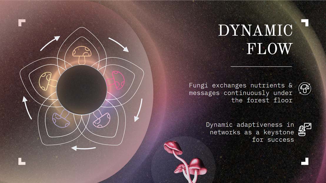 Mycoslide 10